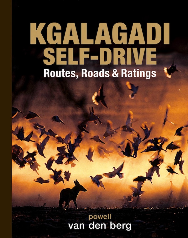 Kgalagadi Self-Drive by Heinrich van den Berg, Paper over Board | Indigo Chapters