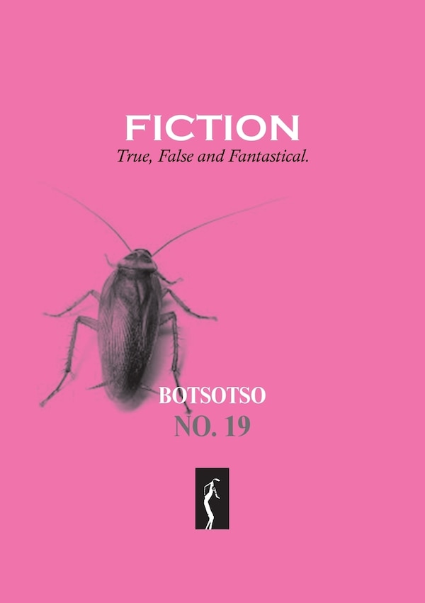 Botsotso 19 by Allan Kolski Horwitz, Paperback | Indigo Chapters