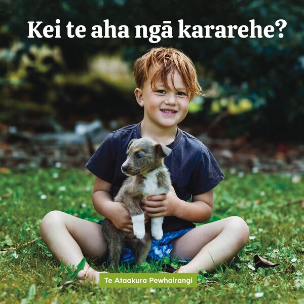 Kei te aha nga kararehe? by Te Ataakura Pewhairangi, Board Book | Indigo Chapters
