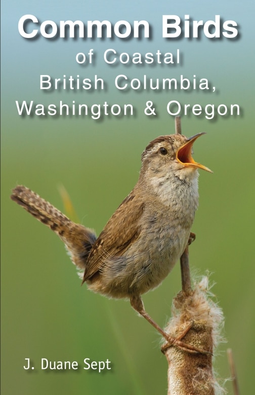 Common Birds of Coastal British Columbia by J. Duane Sept, Paperback | Indigo Chapters