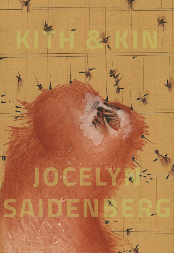 kith & kin by Jocelyn Saidenberg, Paperback | Indigo Chapters