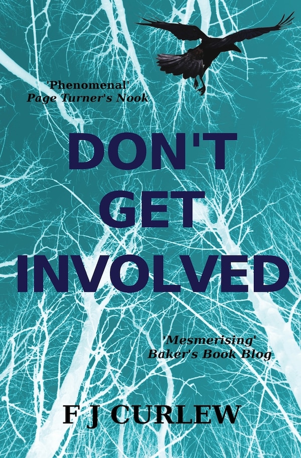 Don't Get Involved by F J Curlew, Paperback | Indigo Chapters