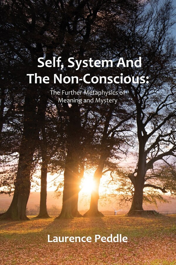 Self System and the Non-Conscious by Laurence Peddle, Paperback | Indigo Chapters