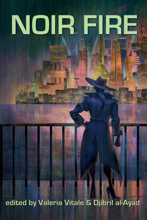 Noir Fire by Saleha Chowdhury, Paperback | Indigo Chapters