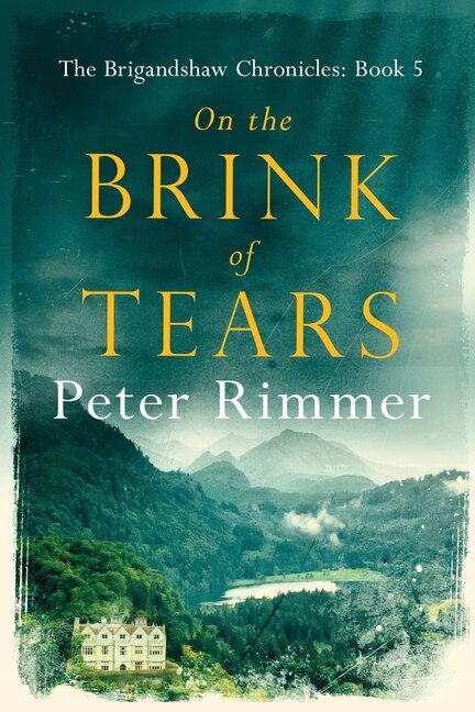 On the Brink of Tears by Peter Rimmer, Paperback | Indigo Chapters