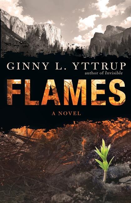 Flames by Ginny L Yttrup, Paperback | Indigo Chapters