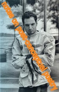 Notes on Post-Conceptual Poetry by Felix Bernstein, Paperback | Indigo Chapters