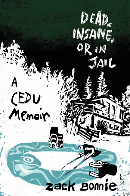 Dead Insane or in Jail by Zack Bonnie, Paperback | Indigo Chapters