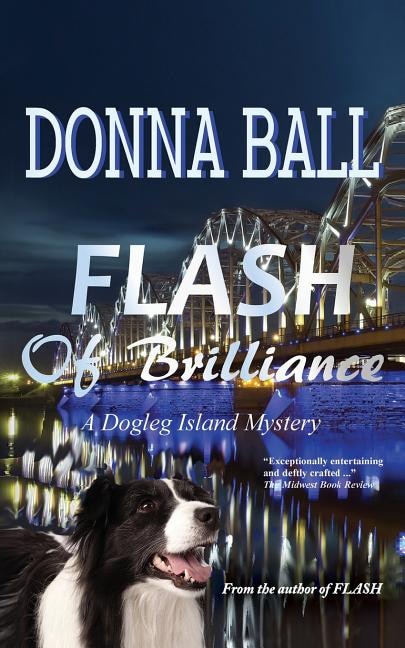 Flash of Brilliance by Donna Ball, Paperback | Indigo Chapters