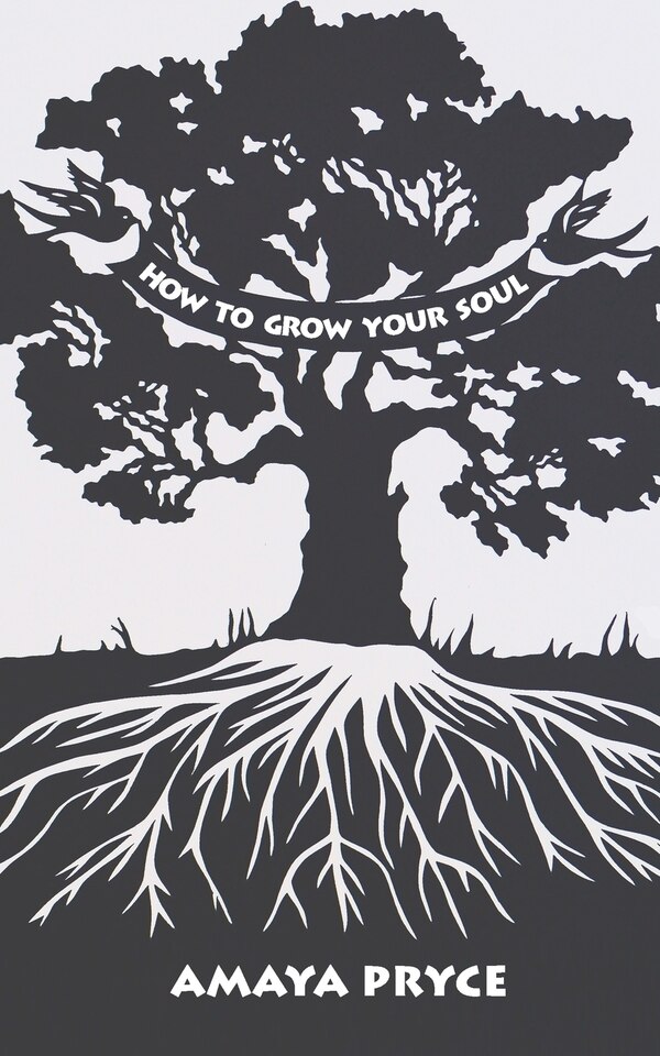 How to Grow Your Soul by Amaya Pryce, Paperback | Indigo Chapters