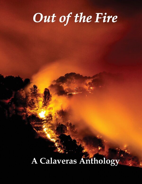 Out of the Fire by Monika Rose, Paperback | Indigo Chapters