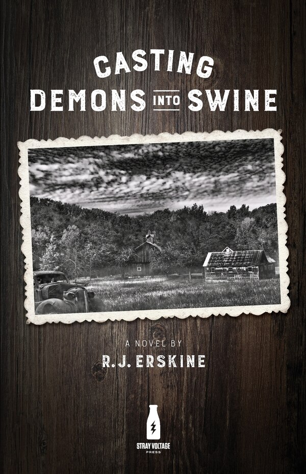 Casting Demons Into Swine by Rj Erskine, Paperback | Indigo Chapters