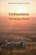 Colossians Verse-by-Verse by Steve Lewis, Paperback | Indigo Chapters