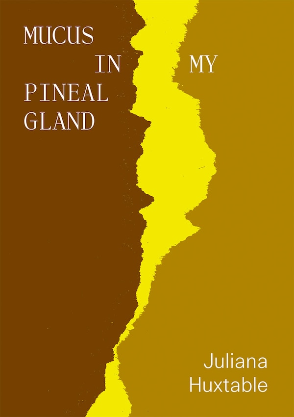 Mucus in My Pineal Gland by Juliana Huxtable, Paperback | Indigo Chapters