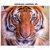 Animals Among Us by Dulcey and Sarah Lima, Paperback | Indigo Chapters