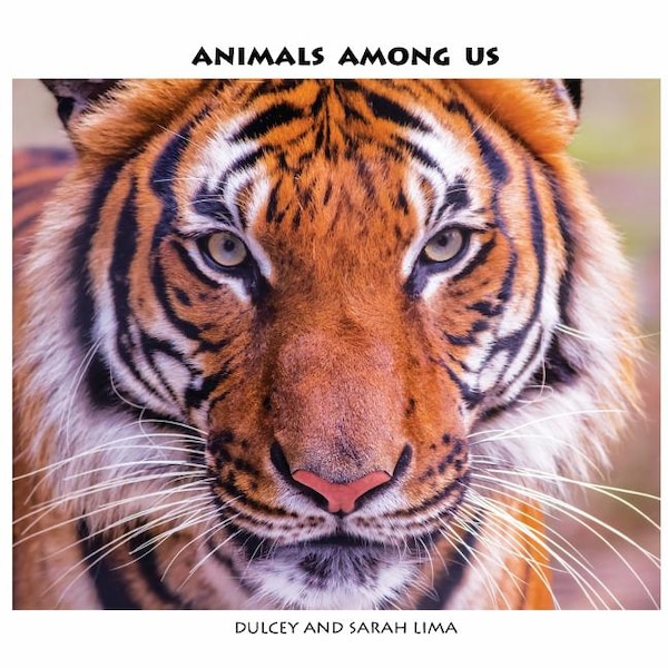 Animals Among Us by Dulcey and Sarah Lima, Paperback | Indigo Chapters