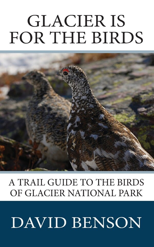 Glacier is for the Birds by David P Benson, Paperback | Indigo Chapters