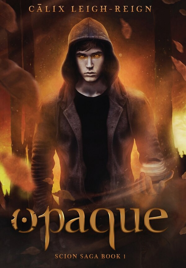 Opaque by Calix Leigh-Reign, Hardcover | Indigo Chapters