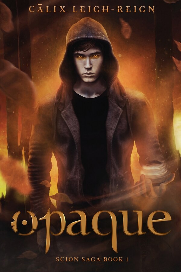 Opaque by Calix Leigh-Reign, Paperback | Indigo Chapters