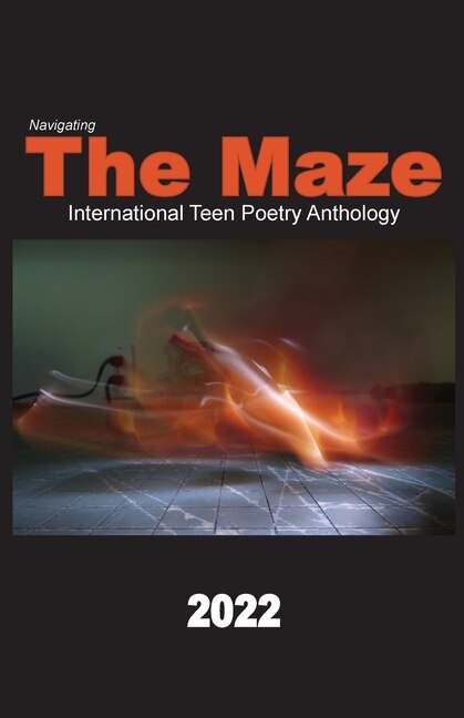 Navigating the Maze 2022 by Anita Stienstra, Paperback | Indigo Chapters