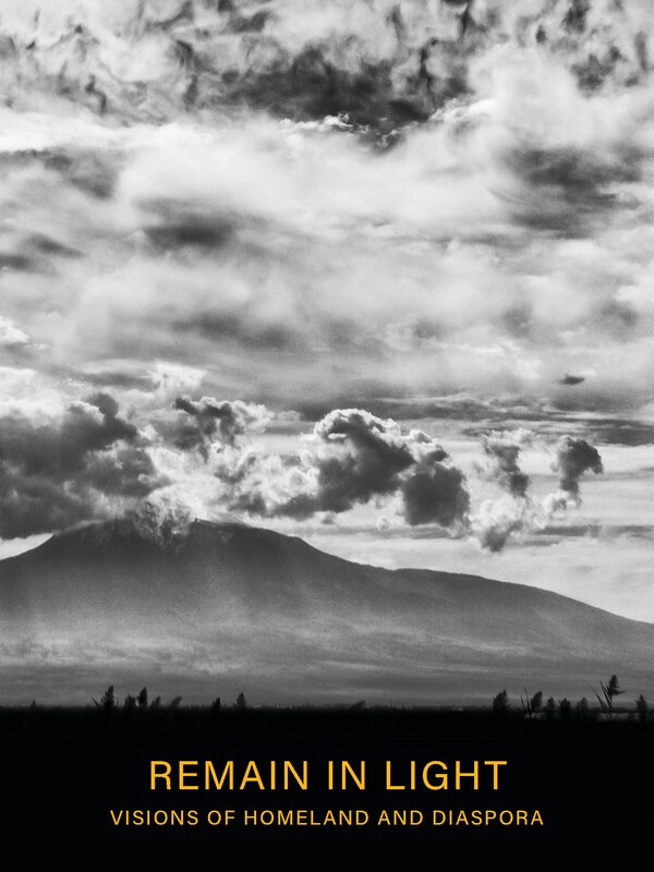Remain in Light by Gassia Armenian, Paperback | Indigo Chapters