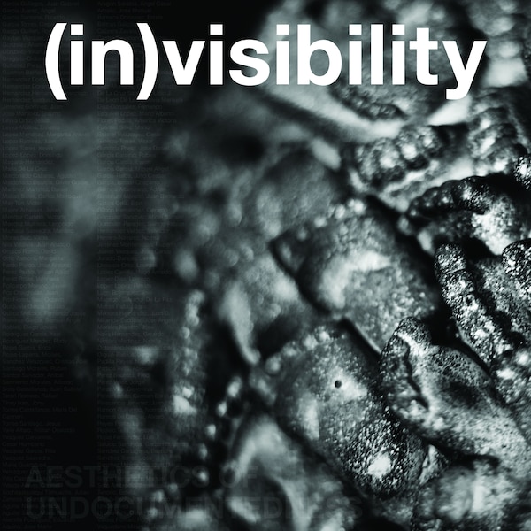 (In)Visibility by Fowler Museum at Ucla, Paperback | Indigo Chapters