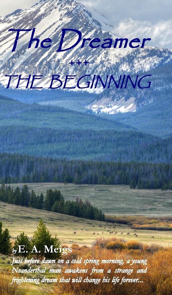 The Dreamer - THE BEGINNING by E A Meigs, Hardcover | Indigo Chapters
