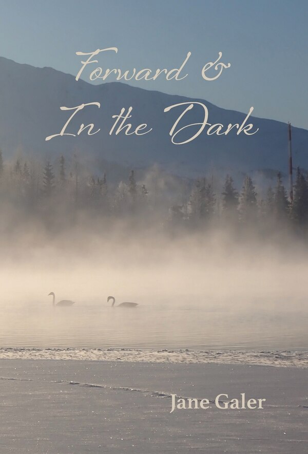Forward & In the Dark by Jane Galer, Hardcover | Indigo Chapters