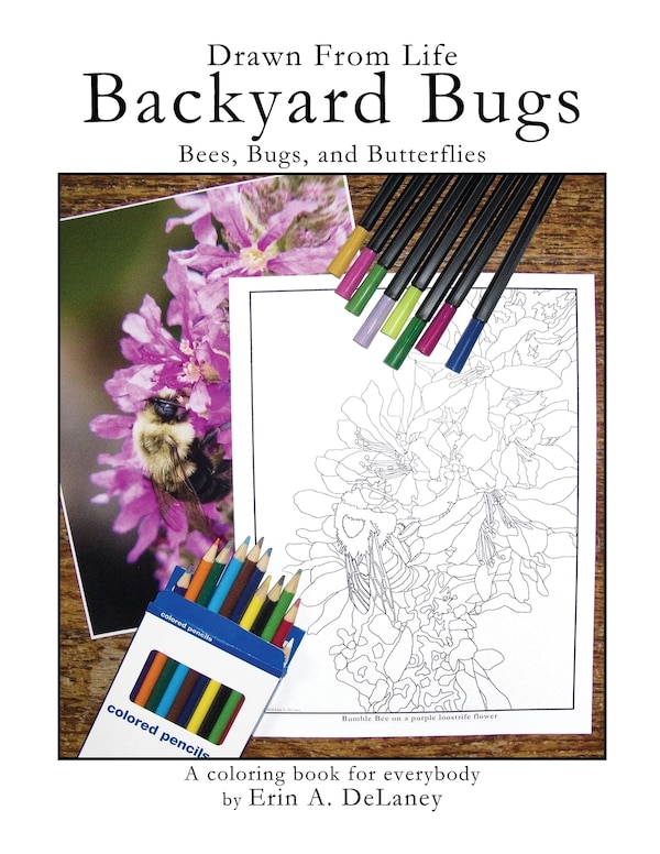 Drawn From Life Backyard Bugs by Erin a Delaney, Paperback | Indigo Chapters