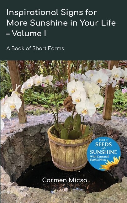 Inspirational Signs for More Sunshine in Your Life - Volume 1 by Carmen Micsa, Paperback | Indigo Chapters