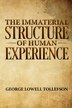 The Immaterial Structure of Human Experience by George Lowell Tollefson, Paperback | Indigo Chapters