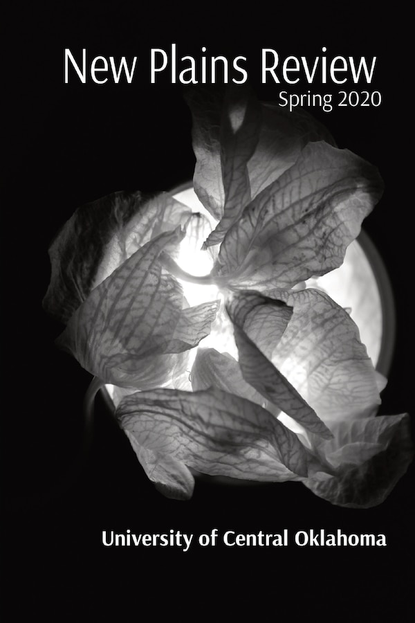 New Plains Review by Shay Rahm, Paperback | Indigo Chapters