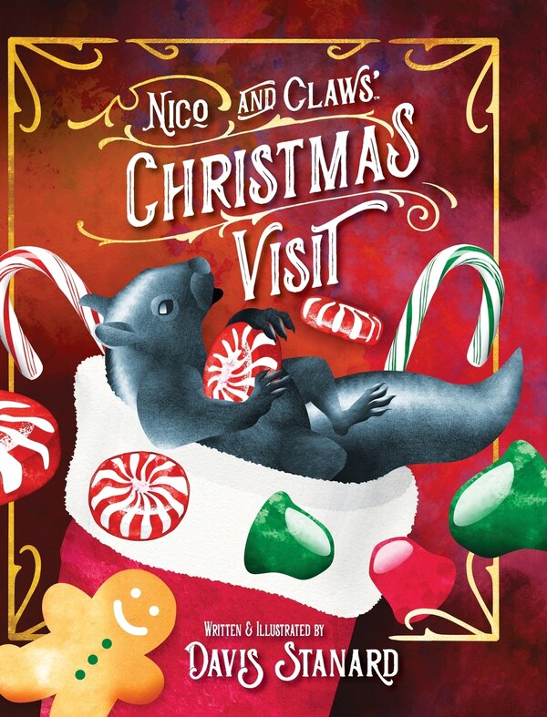 Nico and Claws' Christmas Visit by Davis Stanard, Hardcover | Indigo Chapters