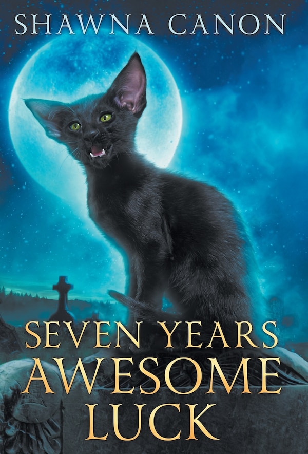 Seven Years Awesome Luck by Shawna Canon, Hardcover | Indigo Chapters