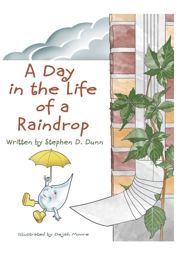 A Day In The Life Of A Raindrop by Stephen Daingerfield Dunn, Hardcover | Indigo Chapters