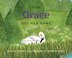 How Grace Got Her Name by Alice Elshoff, Hardcover | Indigo Chapters