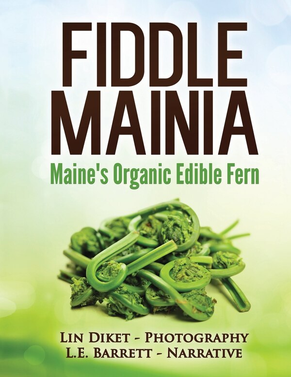 Fiddle Mainia by L E Barrett, Paperback | Indigo Chapters