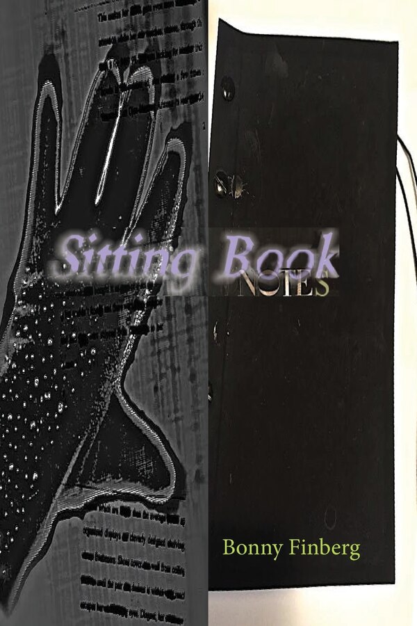 Sitting Book by Bonny Finberg, Paperback | Indigo Chapters