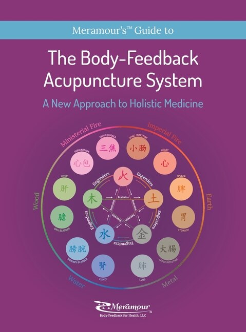 The Body-Feedback Acupuncture System by Michelle Suzy Meramour, Hardcover | Indigo Chapters