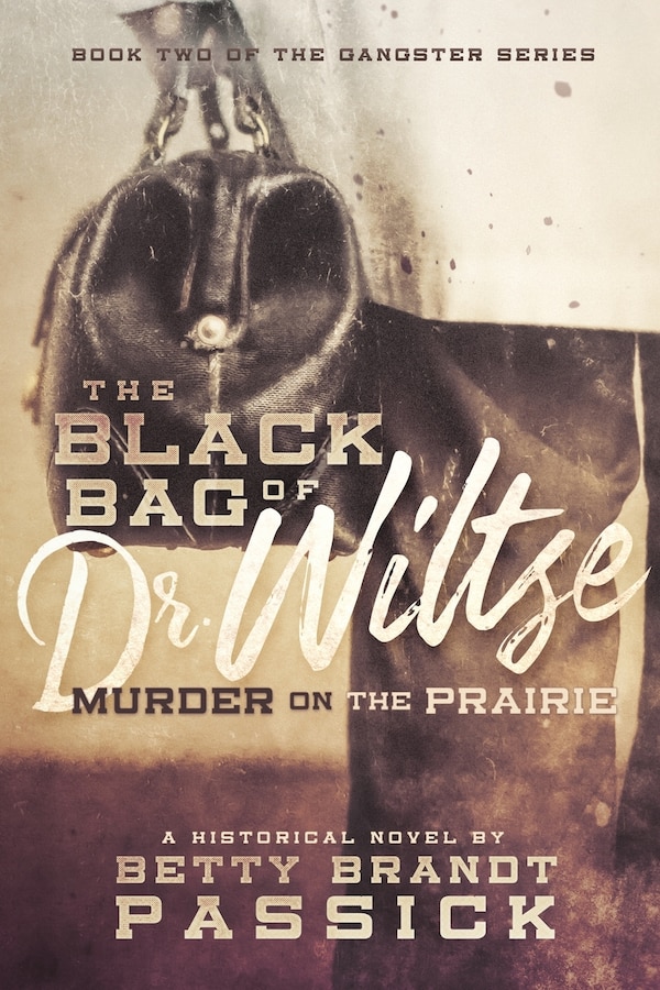 The Black Bag of Dr. Wiltse by Betty Brandt Passick, Paperback | Indigo Chapters