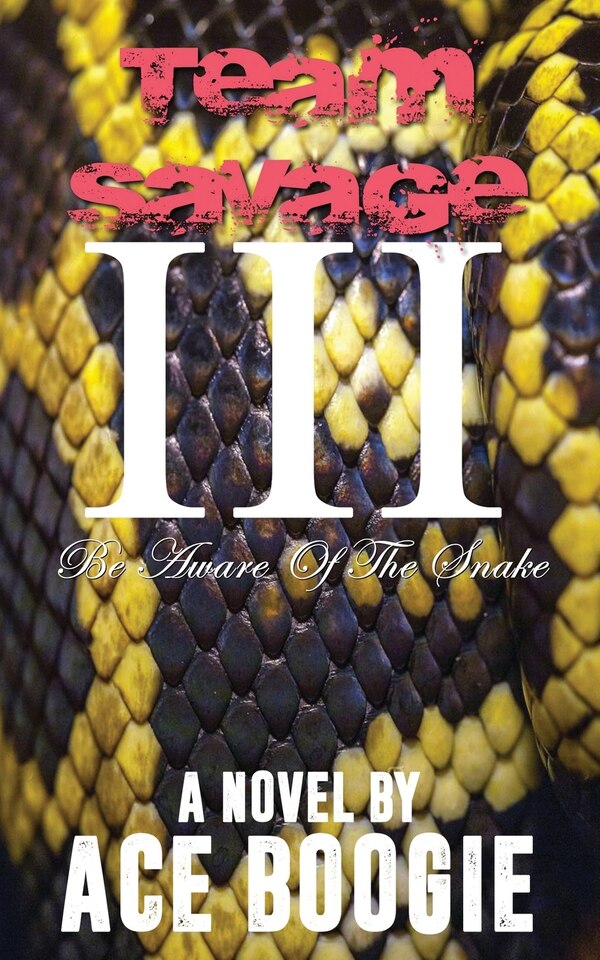 Team Savage III by Ace Boogie, Paperback | Indigo Chapters
