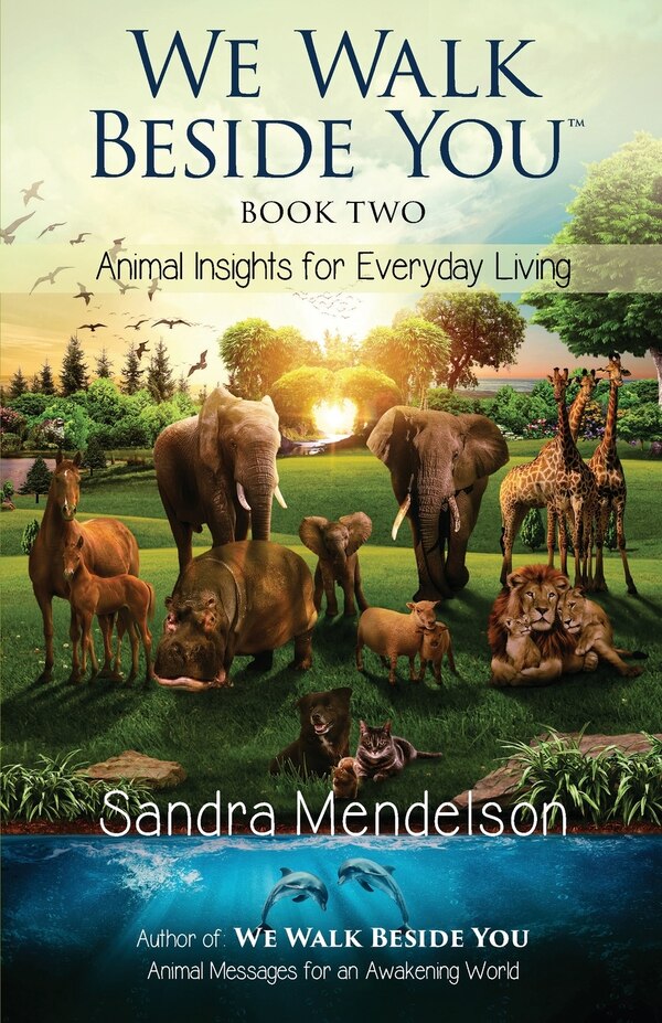 We Walk Beside You Book 2 by Sandra Mendelson, Paperback | Indigo Chapters