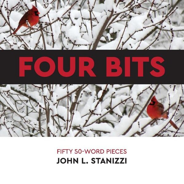 Four Bits by John L Stanizzi, Paperback | Indigo Chapters