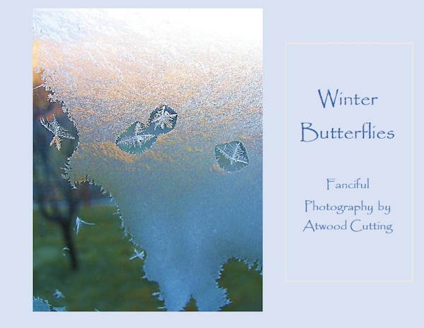 Winter Butterflies by Atwood Cutting, Paperback | Indigo Chapters