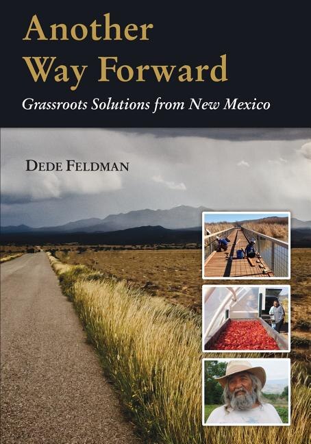 Another Way Forward by Dede Feldman, Paperback | Indigo Chapters