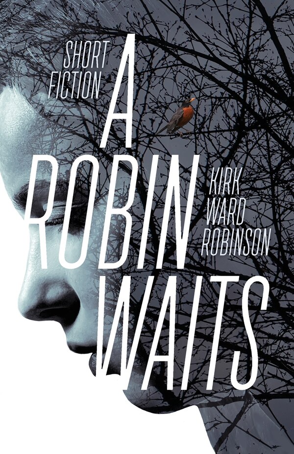 A Robin Waits by Kirk Ward Robinson, Paperback | Indigo Chapters