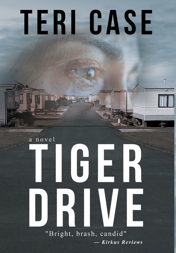Tiger Drive by Teri Case, Hardcover | Indigo Chapters