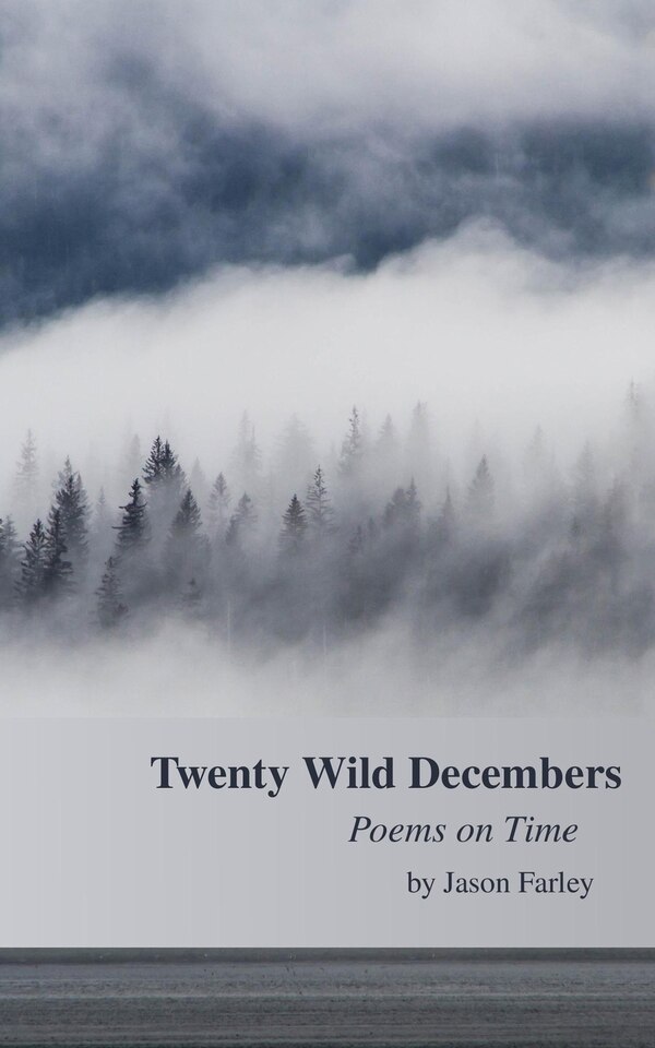 Twenty Wild Decembers by Jason Farley, Paperback | Indigo Chapters