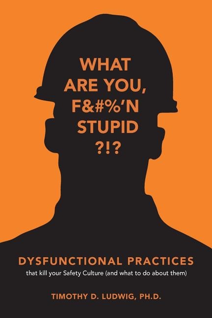 Dysfunctional Practices by Timothy D Ludwig Ph D, Paperback | Indigo Chapters