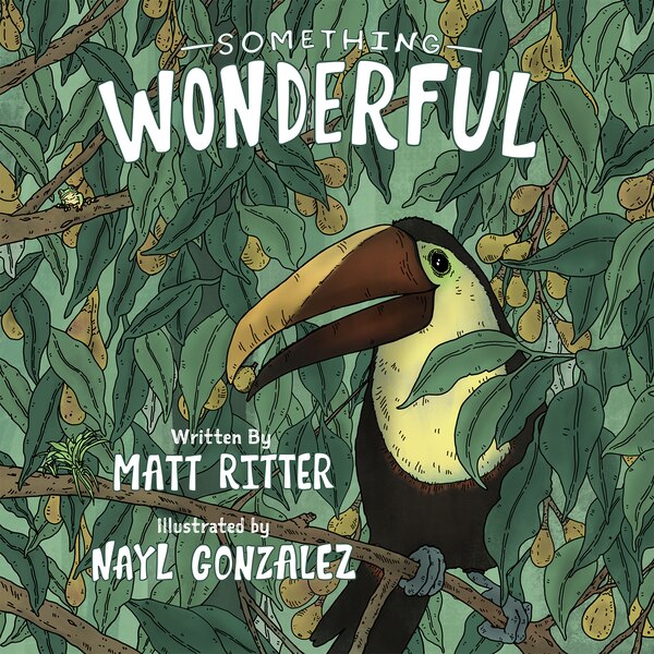 Something Wonderful by Matt Ritter, Picture Books | Indigo Chapters